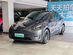 Tesla Model Y Long Range All-Wheel Drive - ფოტო 1