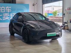 Tesla Model Y Long Range All-Wheel Drive - ფოტო 3