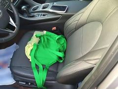 Toyota Avalon Hybrid 2.5L XLE Premium China VI - photo 14