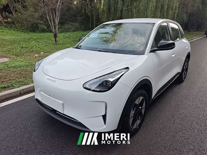 Geely Star Wish 310km Fengxing Edition - car from China