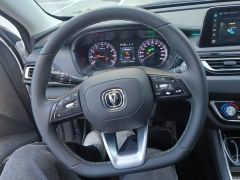 Changan Ruicheng CC Blue Whale Edition 1.5T DCT Luxury Edition - фото 15