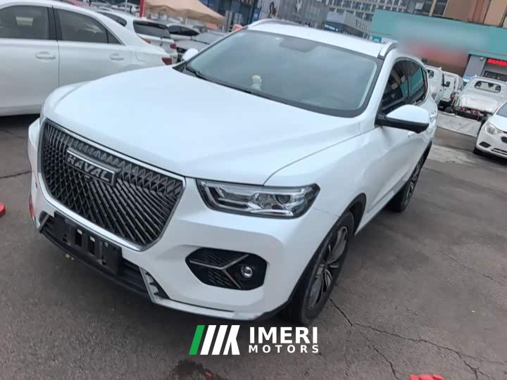 Haval H6 1.5T Automatic Champion Edition - car from China