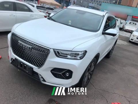 2021 Haval H6 1.5T Automatic Champion Edition - car from China