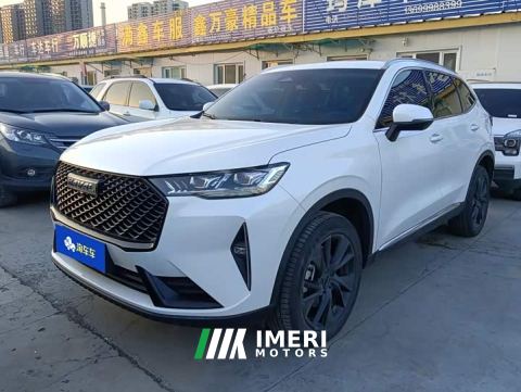 2024 Haval H6 Third Generation 2.0T Automatic Two-Wheel Drive Max - car from China