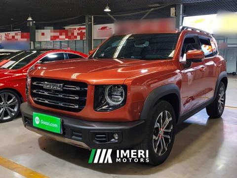 2021 Great Wall Dachshund 1.5T DCT Two-Wheel Drive Border Collie Edition - car from China