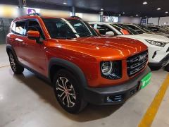 Great Wall Dachshund 1.5T DCT Two-Wheel Drive Border Collie Edition - photo 3