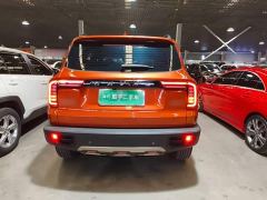 Great Wall Dachshund 1.5T DCT Two-Wheel Drive Border Collie Edition - photo 5