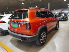 Great Wall Dachshund 1.5T DCT Two-Wheel Drive Border Collie Edition - photo 6