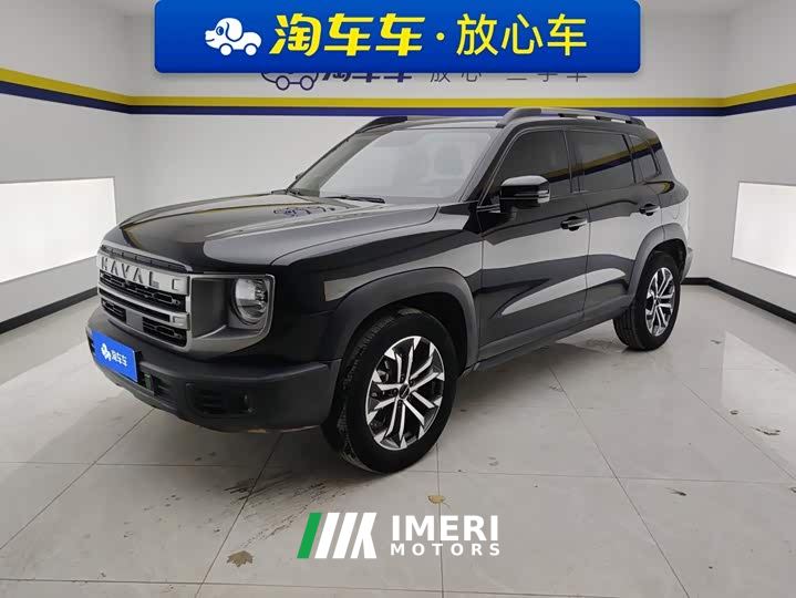Great Wall Dachshund 1.5T DCT Labrador Edition