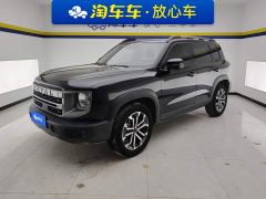 Great Wall Dachshund 1.5T DCT Labrador Edition - ფოტო 1