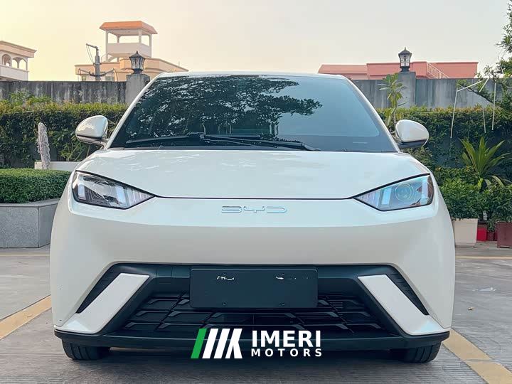BYD Seagull Vitality Edition - ავტომობილი ჩინეთიდან