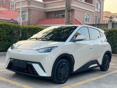 BYD Seagull Vitality Edition - ფოტო 2