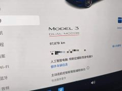Tesla Model 3 Performance All-Wheel Drive - ფოტო 11