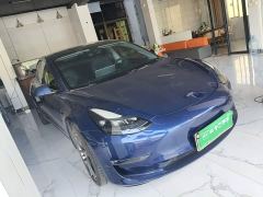 Tesla Model 3 Performance All-Wheel Drive - ფოტო 3