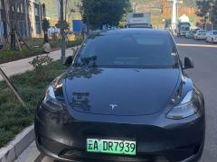 Tesla Model Y Rear-Wheel Drive - фото 2