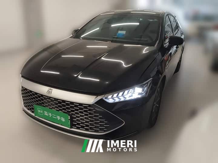 BYD Qin PLUS Champion Edition DM-i 55KM Leading - car from China