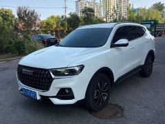 Haval H6 National Trend Edition 1.5T Automatic Urban Version - ფოტო 1