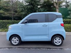 Wuling Hongguang MINIEV Zizai Trim Ternary Lithium Battery - photo 16