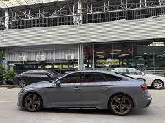 Audi RS 5 RS 5 2.9T Sportback Standard - фото 4