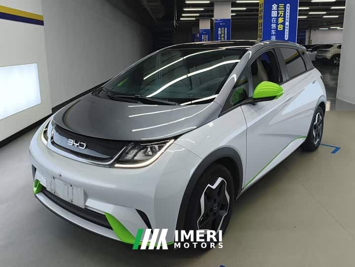 BYD Dolphin 405km Fashion Edition - ავტომობილი ჩინეთიდან