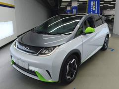 BYD Dolphin 405km Fashion Edition - ფოტო 1