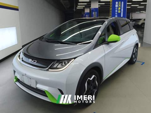 2022 BYD Dolphin 405km Fashion Edition - car from China