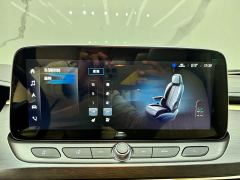 Buick GL8 Land Executive Cabin Premium - ფოტო 16