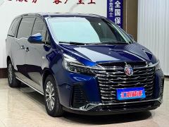 Buick GL8 Land Executive Cabin Premium - ფოტო 3