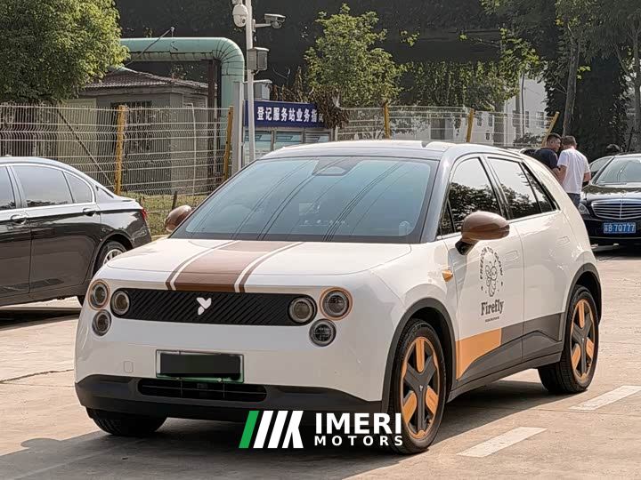 Nio Firefly Luminous Edition