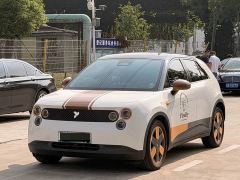 Nio Firefly Luminous Edition - ფოტო 1