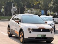 Nio Firefly Luminous Edition - ფოტო 3