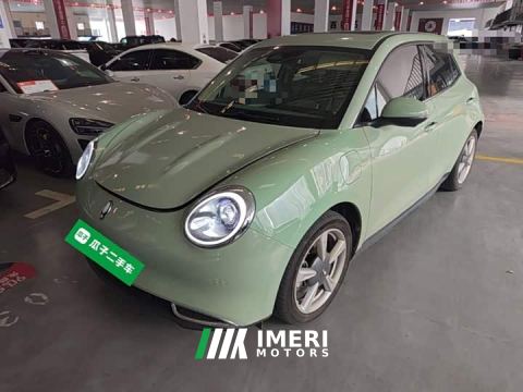 2023 ORA Good Cat 401km Standard Range Deluxe LFP - автомобиль из Китая