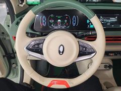 ORA Good Cat 401km Standard Range Deluxe LFP - ფოტო 10