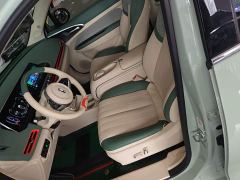 ORA Good Cat 401km Standard Range Deluxe LFP - ფოტო 14