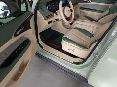 ORA Good Cat 401km Standard Range Deluxe LFP - ფოტო 15