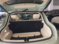 ORA Good Cat 401km Standard Range Deluxe LFP - ფოტო 18