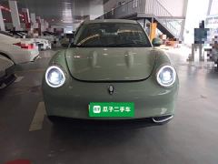 ORA Good Cat 401km Standard Range Deluxe LFP - ფოტო 2