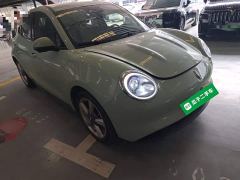 ORA Good Cat 401km Standard Range Deluxe LFP - ფოტო 3