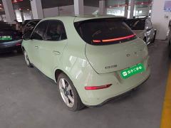 ORA Good Cat 401km Standard Range Deluxe LFP - ფოტო 4