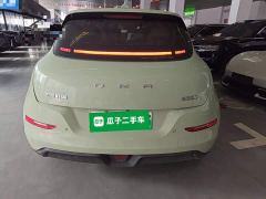 ORA Good Cat 401km Standard Range Deluxe LFP - ფოტო 5