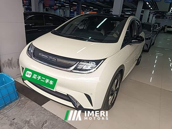 BYD Dolphin 420km Fashion Edition - car from China