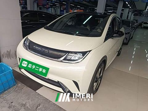 2023 BYD Dolphin 420km Fashion Edition - ავტომობილი ჩინეთიდან