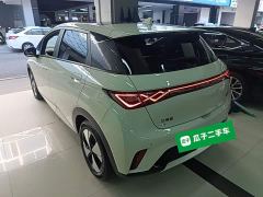BYD Dolphin 420km Fashion Edition - photo 4
