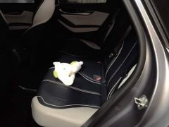 BYD Qin Plus DM-i 120KM Luxury - photo 11