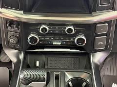 Ford F-150 Raptor 3.5T Raptor Blaze Storm Special Edition - photo 12