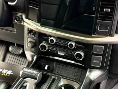 Ford F-150 Raptor 3.5T Raptor Blaze Storm Special Edition - photo 15