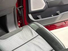 Ford F-150 Raptor 3.5T Raptor Blaze Storm Special Edition - photo 17