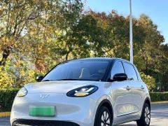 Wuling Binguo 333km Joy Edition - photo 1
