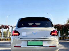 Wuling Binguo 333km Joy Edition - photo 20