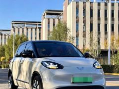 Wuling Binguo 333km Joy Edition - photo 3
